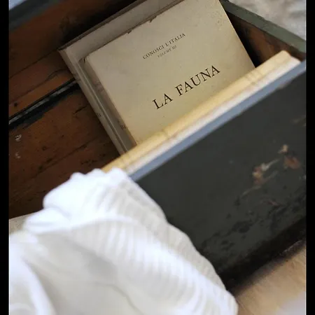 Quartopiano Apartment Modena