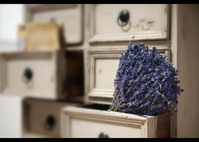 Quartopiano 摩德纳