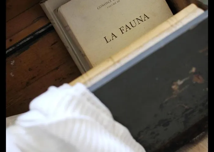 Quartopiano 公寓 摩德纳